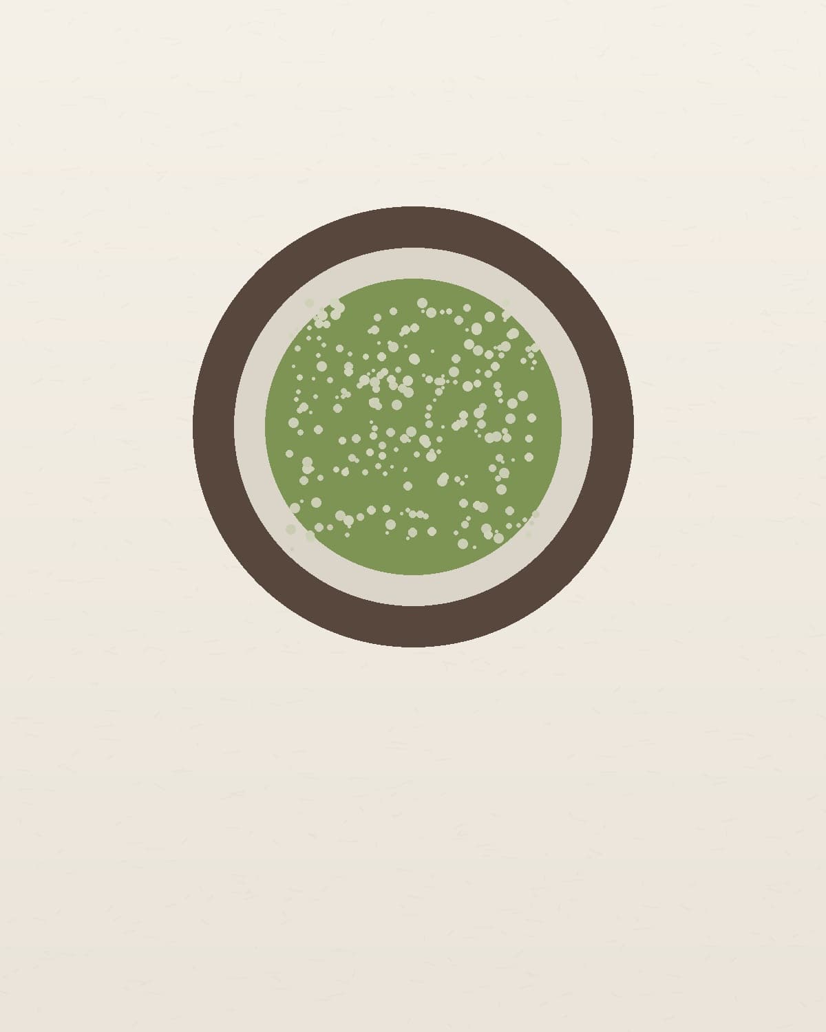 Open Hanacha Daily pouch with bright matcha visible